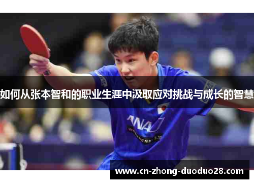 如何从张本智和的职业生涯中汲取应对挑战与成长的智慧
