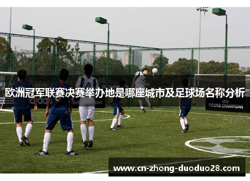 欧洲冠军联赛决赛举办地是哪座城市及足球场名称分析