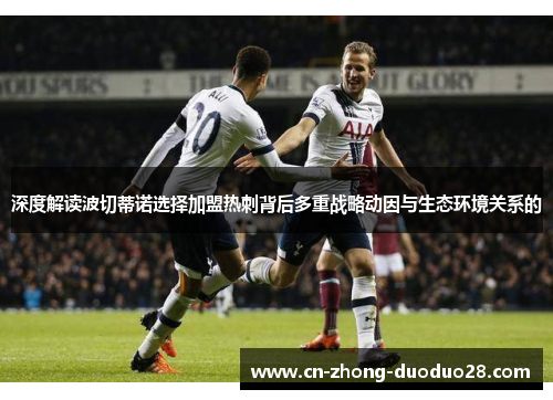 深度解读波切蒂诺选择加盟热刺背后多重战略动因与生态环境关系的