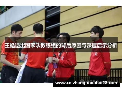 王皓退出国家队教练组的背后原因与深层启示分析