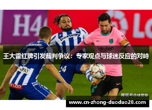 王大雷红牌引发裁判争议：专家观点与球迷反应的对峙